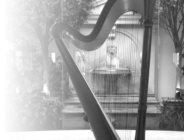 Adelaide Harpist