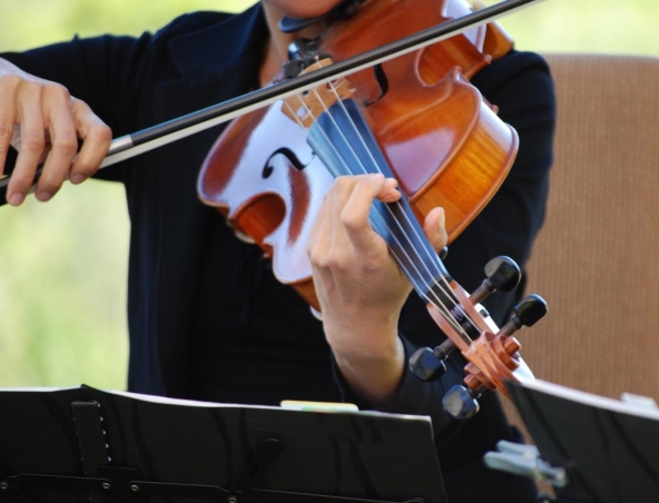 String Quartet Adelaide